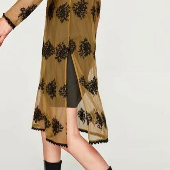 ZARA Embroidery Tulle Dress - Picture 7 of 11